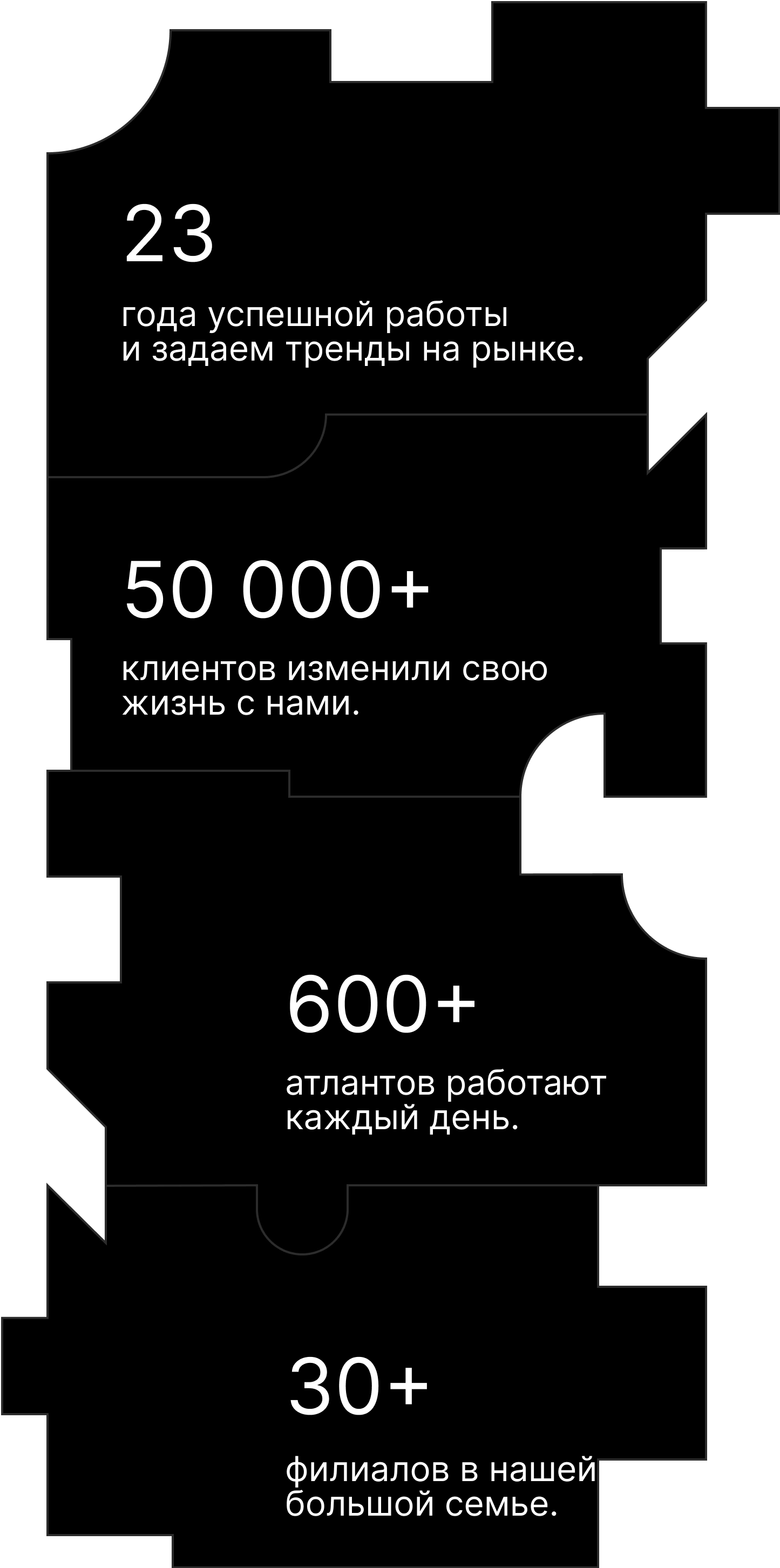Puzzle image